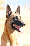 lex_20121021-01