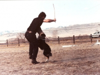 maglee-3