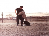 maglee-4