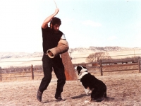 maglee-5