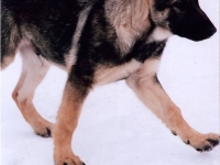 eddie_2007-2